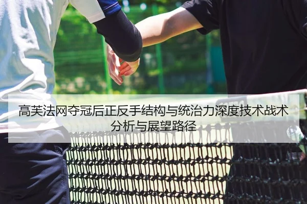 gao-fu-fa-wang-duo-guan-hou-zheng-fan-shou-jie-gou-yu-tong-zhi-li-shen-du-ji-shu-zhan-shu-fen-xi-yu-zhan-wang-lu-jing-2-438.jpg